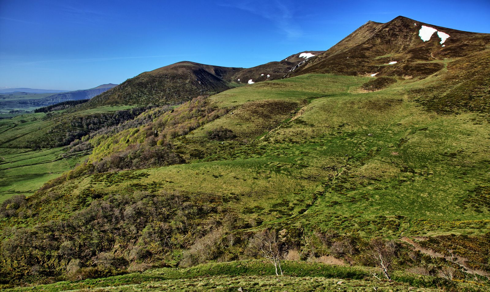 Paysage volcanique verdoyant du massif du Sancy, en Auvergne (photo d'illustration)