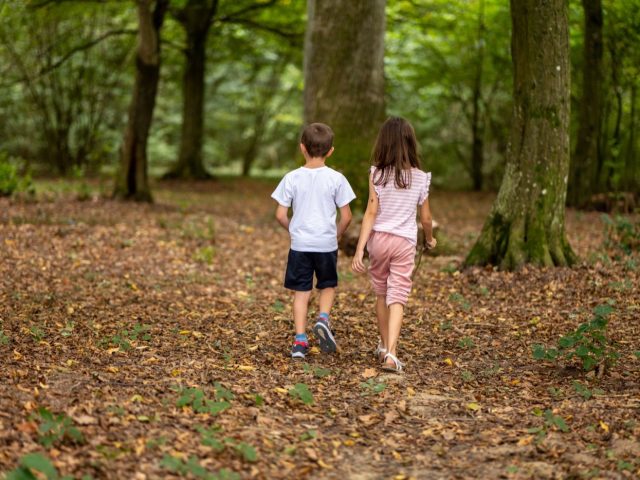 Balades faciles en famille depuis un gîte du Sud-Ouest