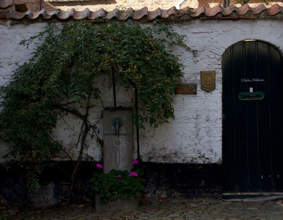 Guide pratique pour séjour en gîte en Alsace