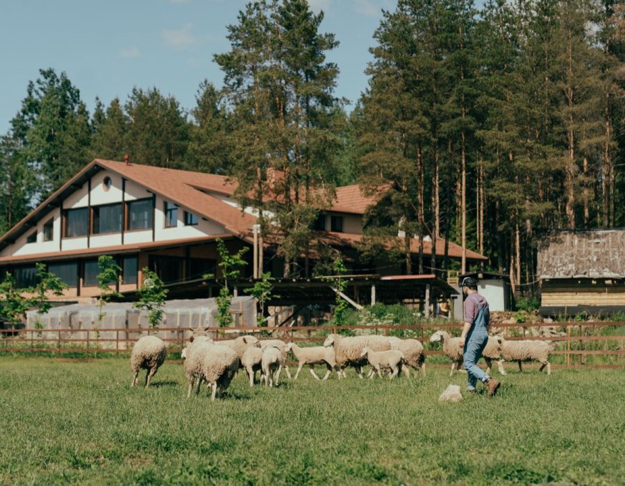 Gîte Aveyron : guide pratique pour préparer son séjour