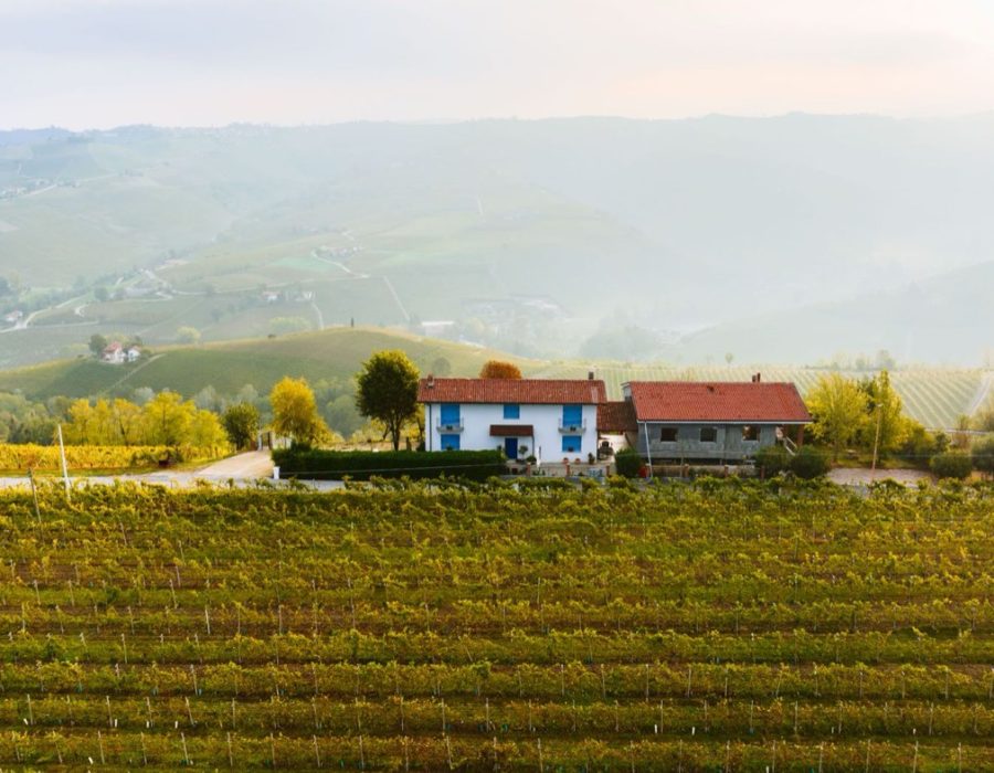Gîte dans le Beaujolais : guide pratique