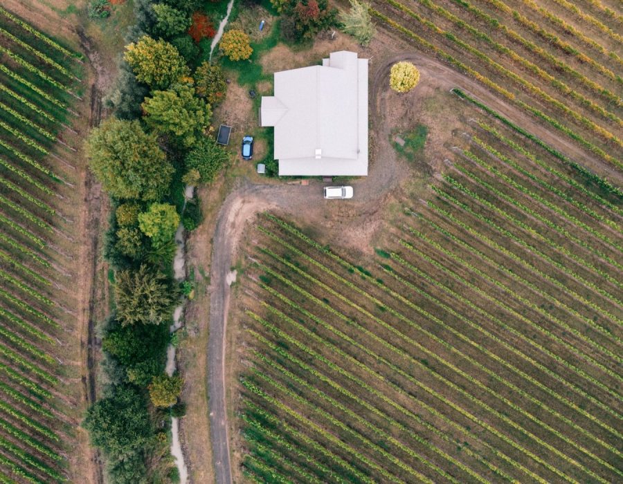 Gîte rural en Bourgogne : guide pratique