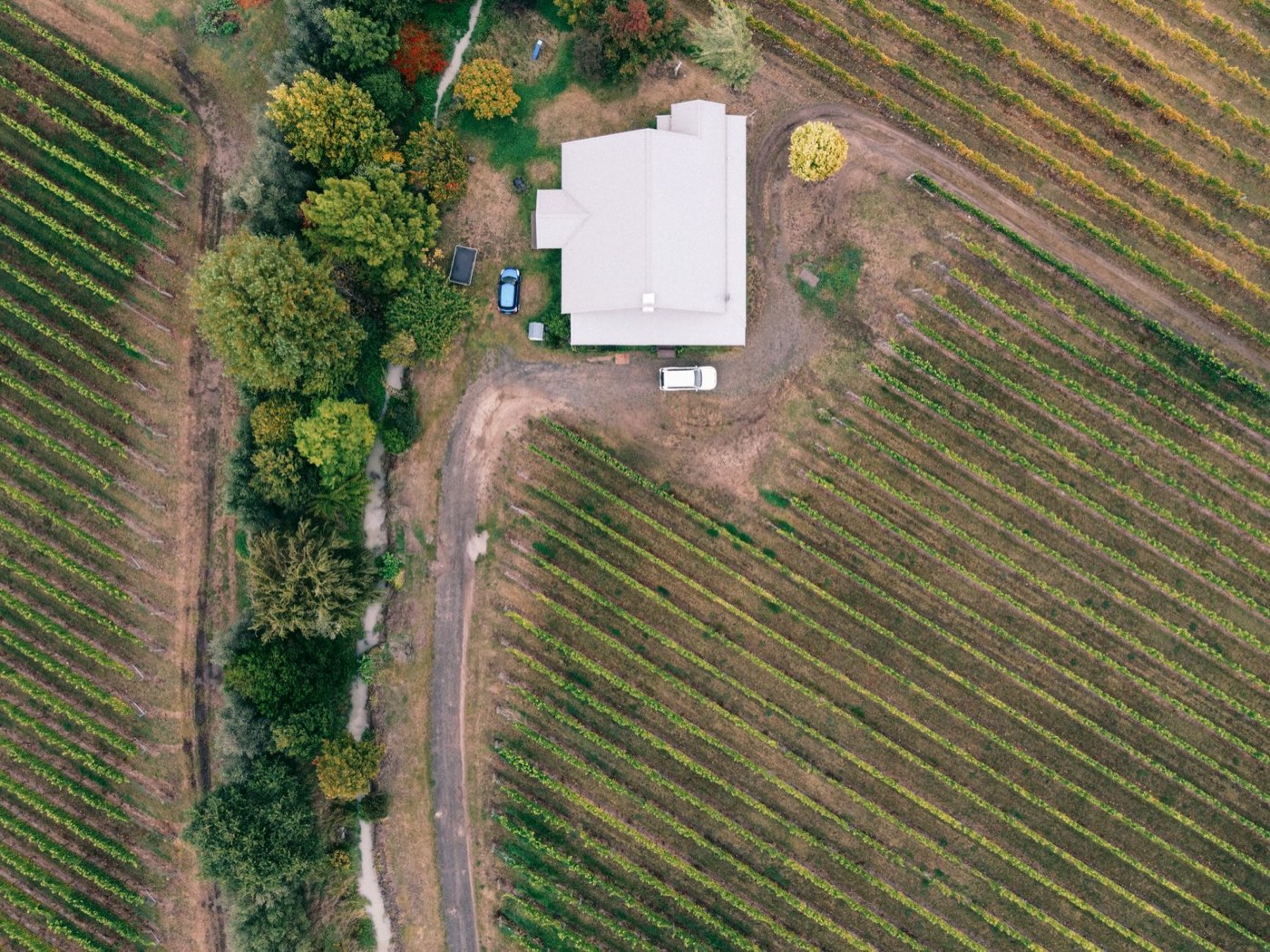 Gîte rural en Bourgogne : guide pratique