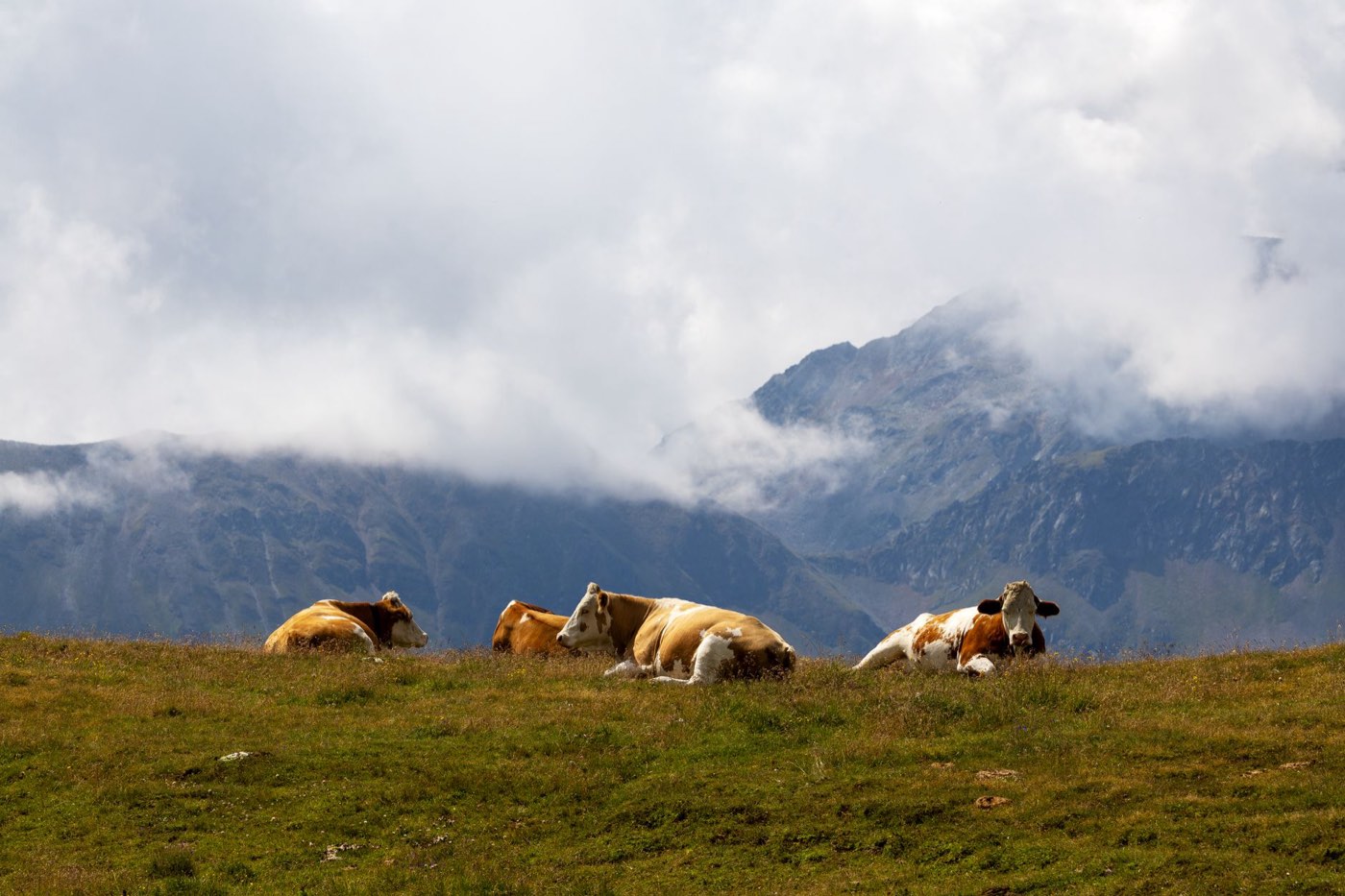 Guide pratique pour choisir un gîte dans le Cantal