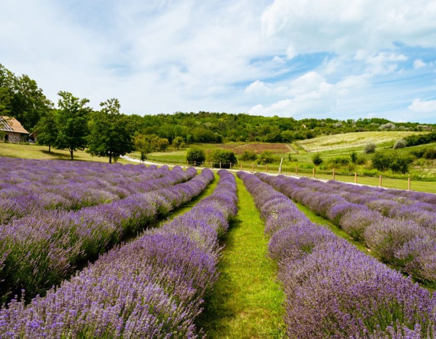 Gîte en Drôme : zones, climat et accès