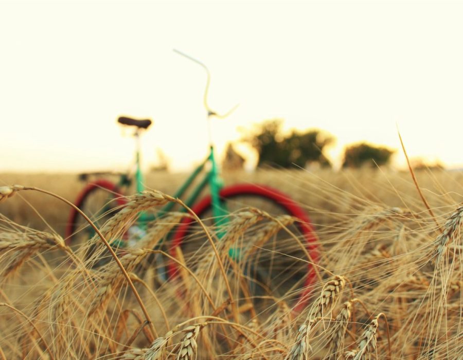 Gîte en Hauts-de-France : guide pratique