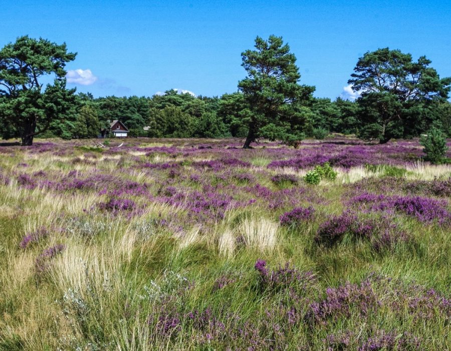 Gîte dans le Luberon : guide pratique