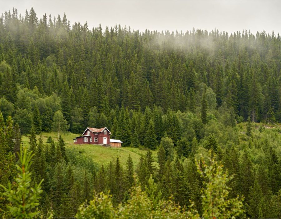 Gîte dans les Vosges : où trouver et préparer son séjour