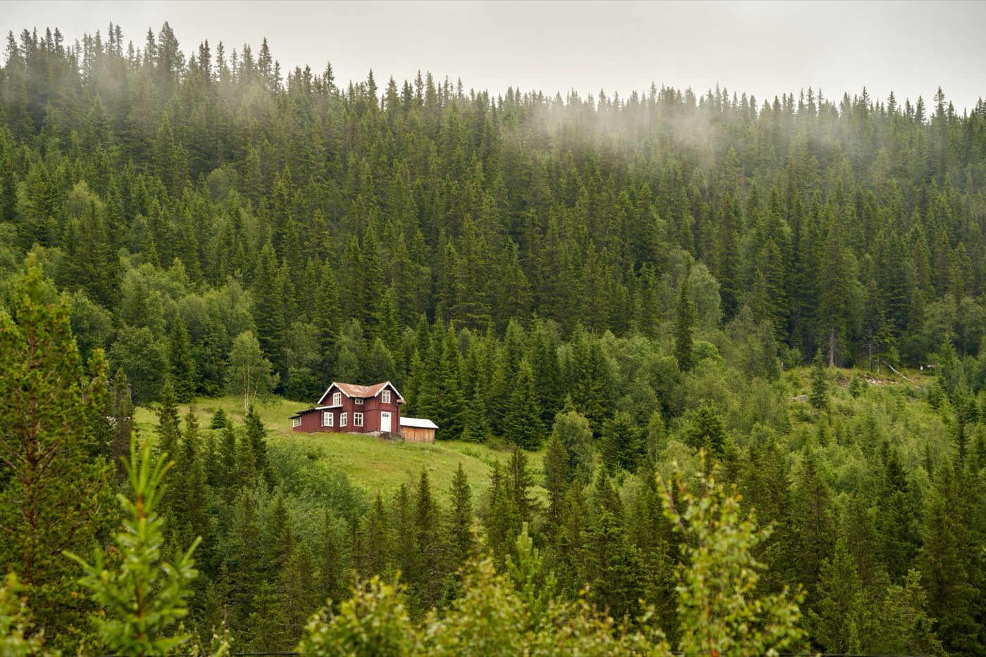 Gîte dans les Vosges : où trouver et préparer son séjour
