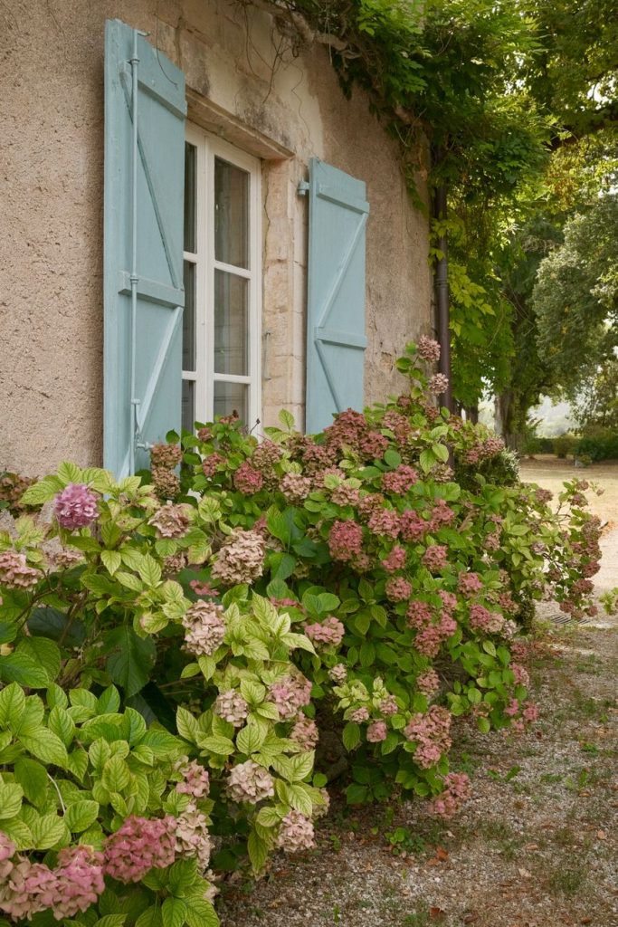 Picturesque cottage in Nouvelle-Aquitaine, France with colorful hydrangeas and blue shutters.