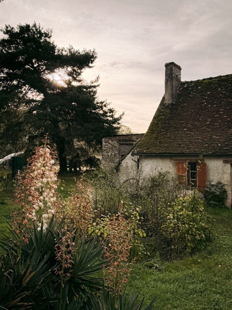 Picturesque countryside cottage surrounded by lush greenery in France, offering a serene and rustic ambiance.