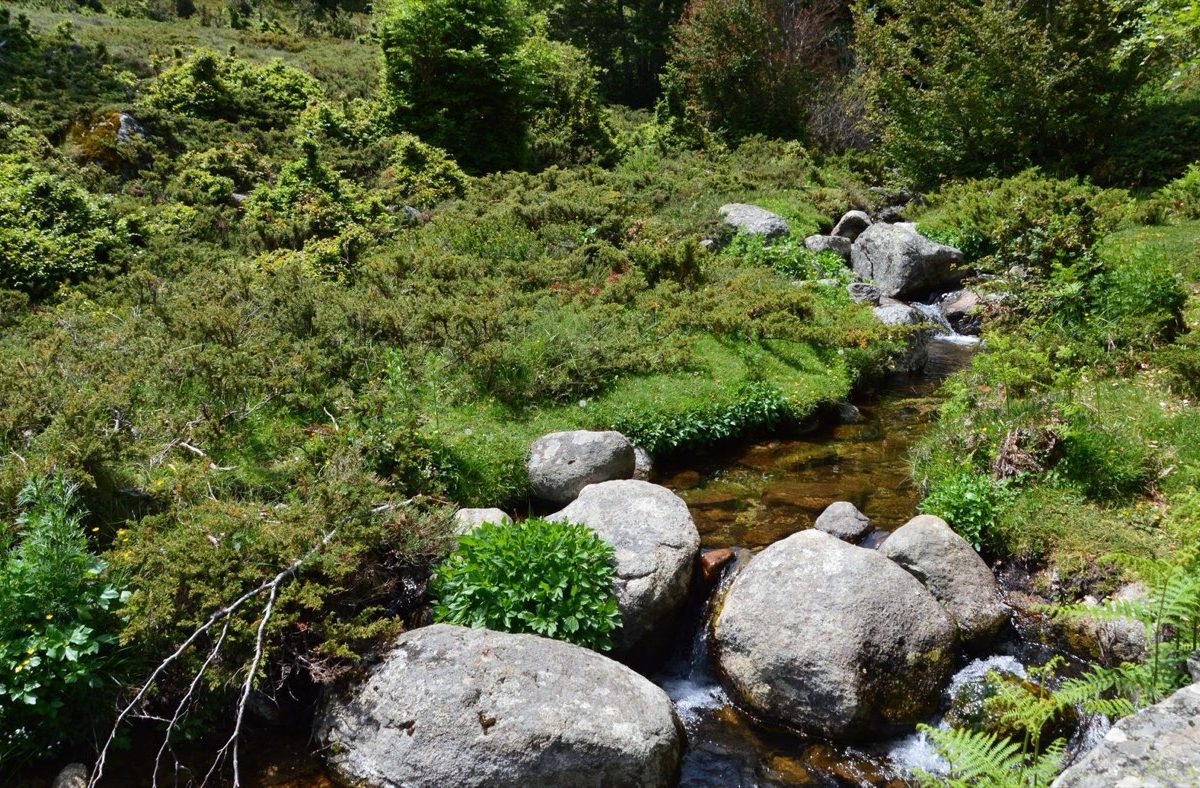 Itinéraire 3 jours en gîte près d'une rivière