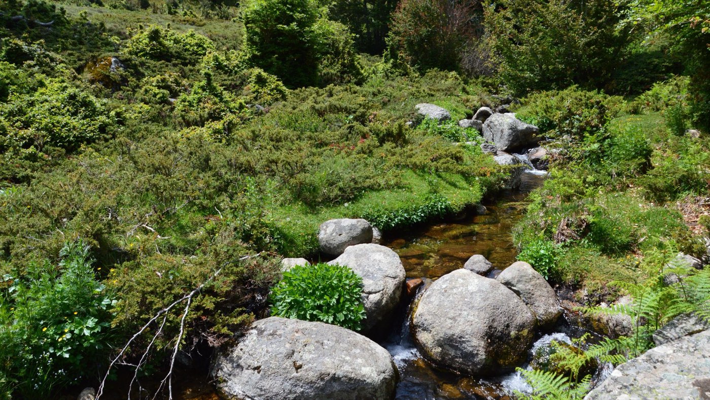 Itinéraire 3 jours en gîte près d&rsquo;une rivière